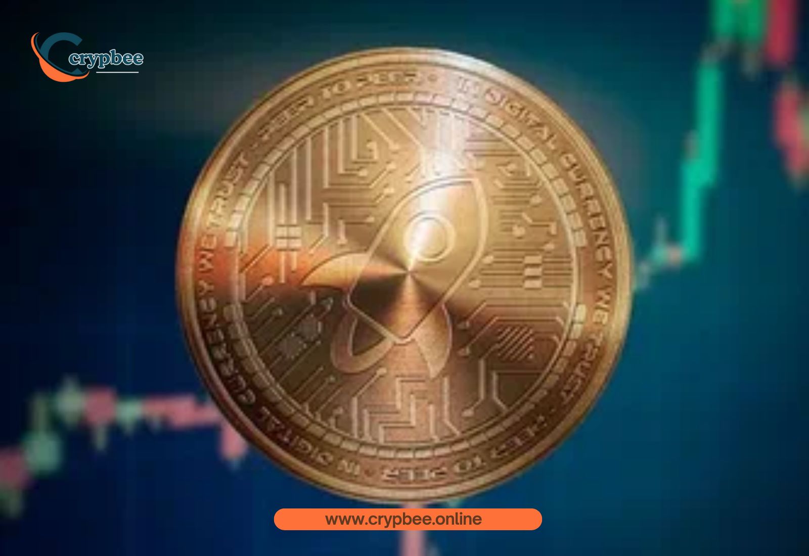 Don’t Invest in Crypto If You’re a Beginner: 13 Reasons That Would Stop You!